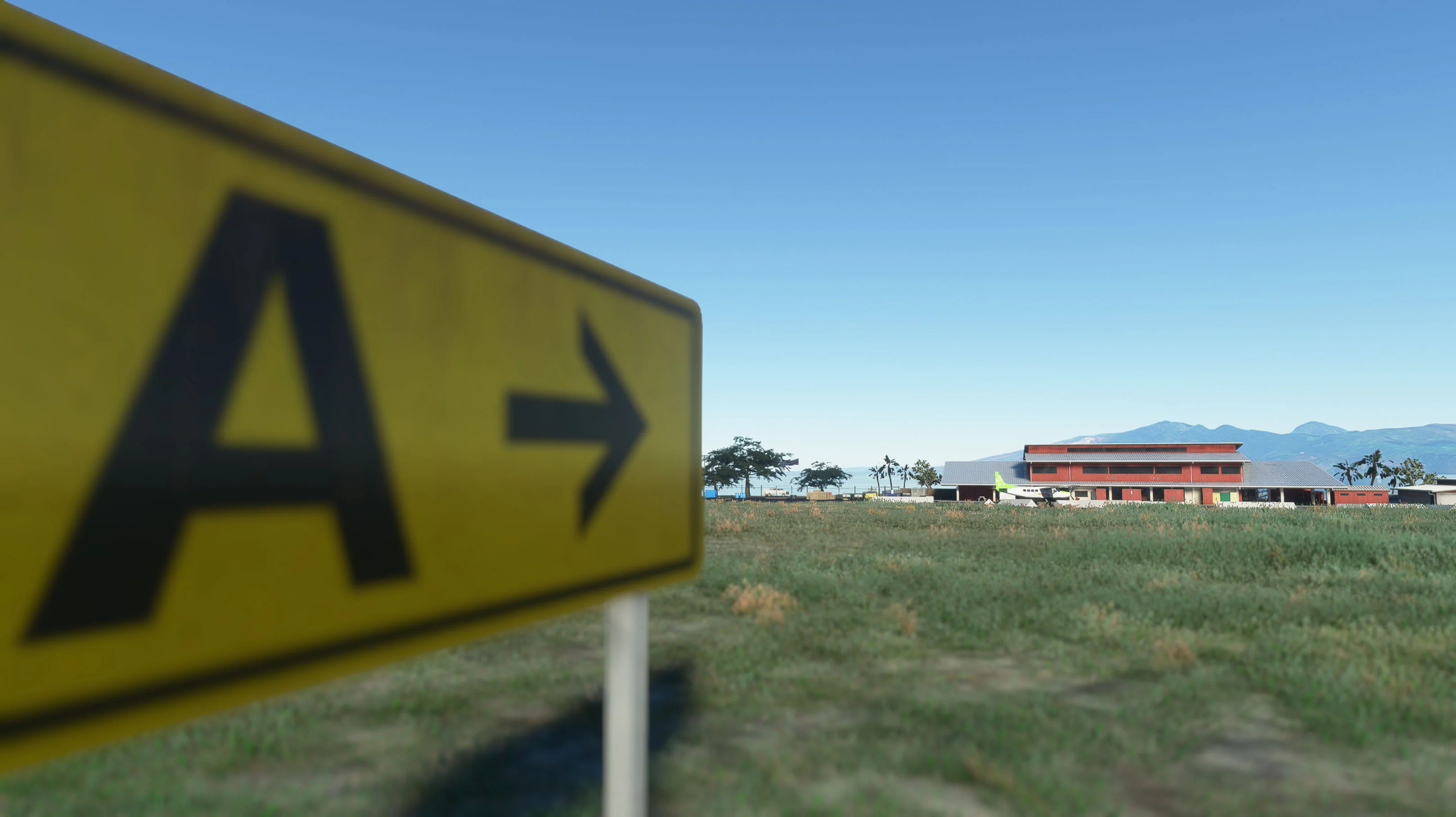 Thumbnail 19