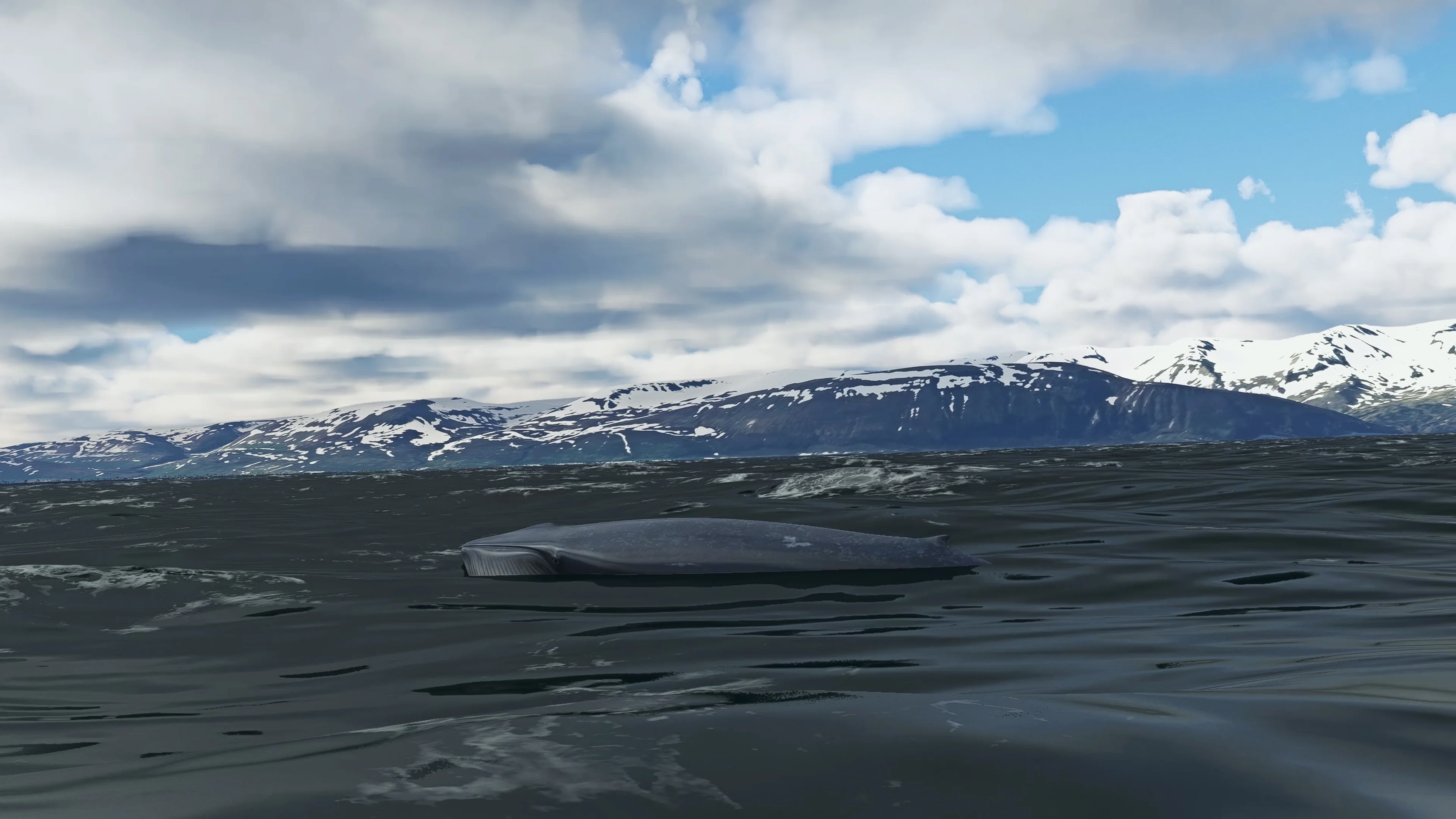 Thumbnail 19